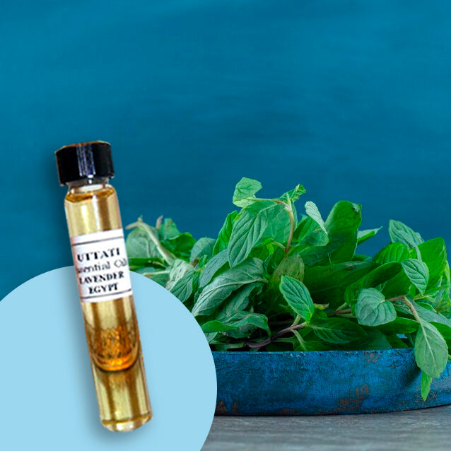 Bergamot Mint