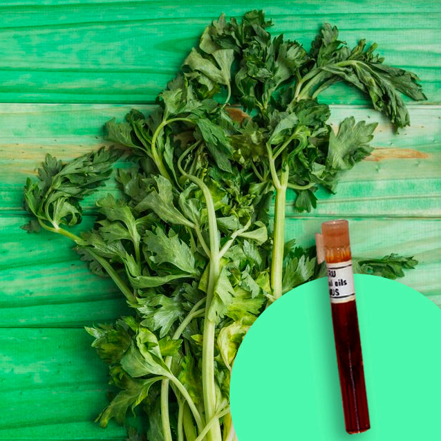 Celery Herb