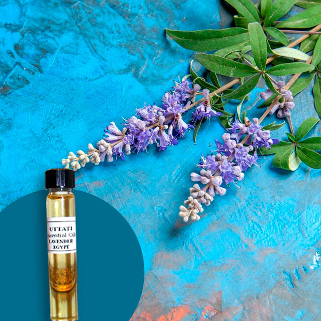 Lavender French