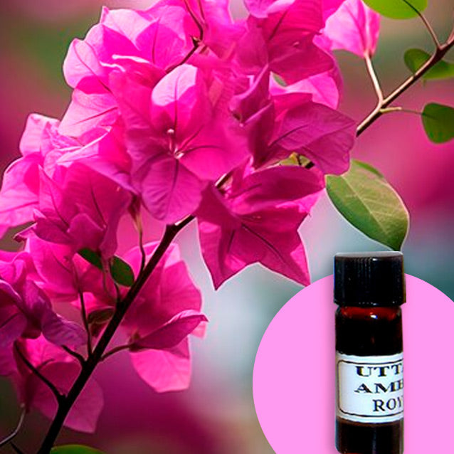 Rhododendron