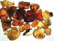 Amber Antique