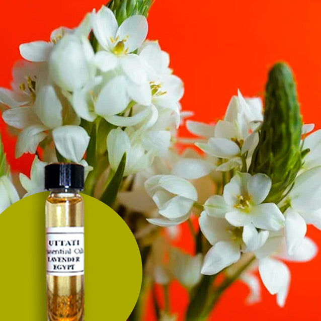 Tuberose
