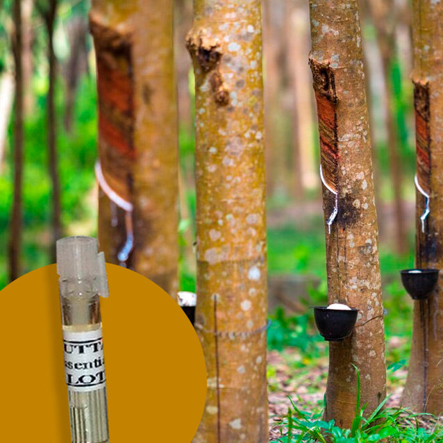 Agarwood Pacific