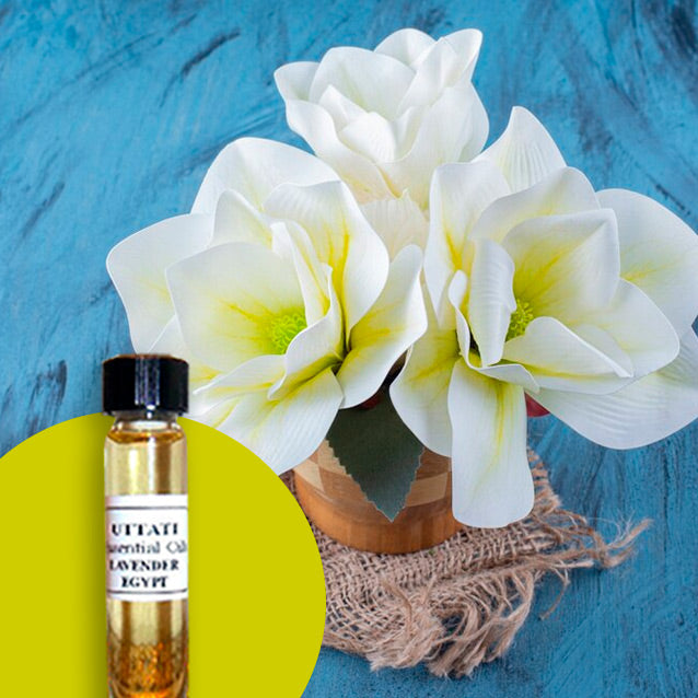 Aglaia Flower Abs