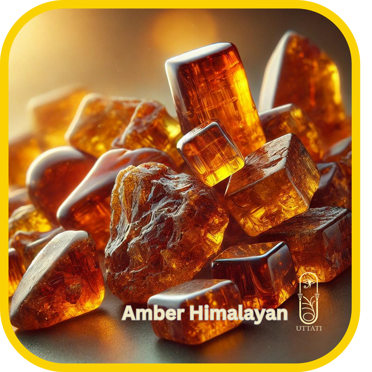 Amber Himalayan