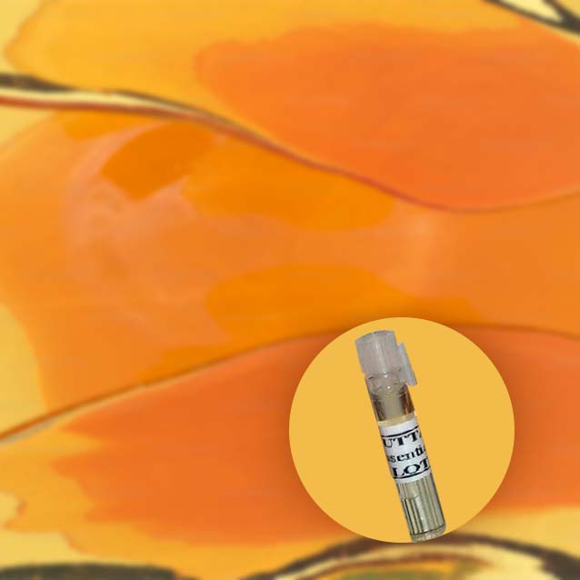 Amber Dry D