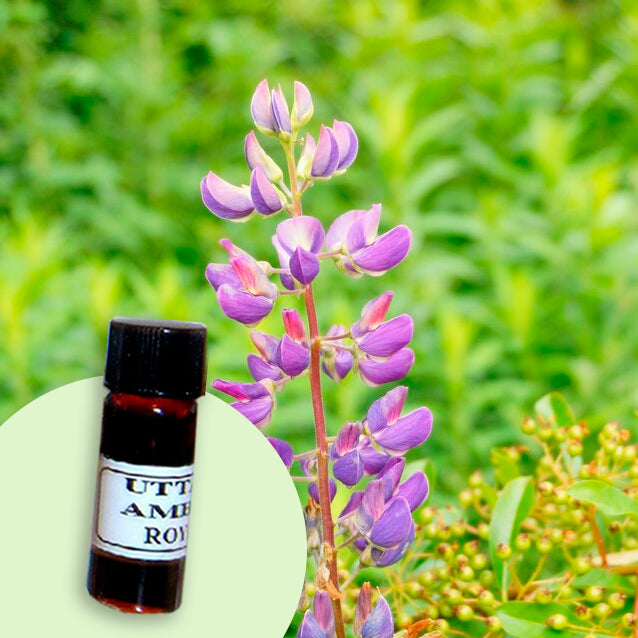 Balsam (Peru)