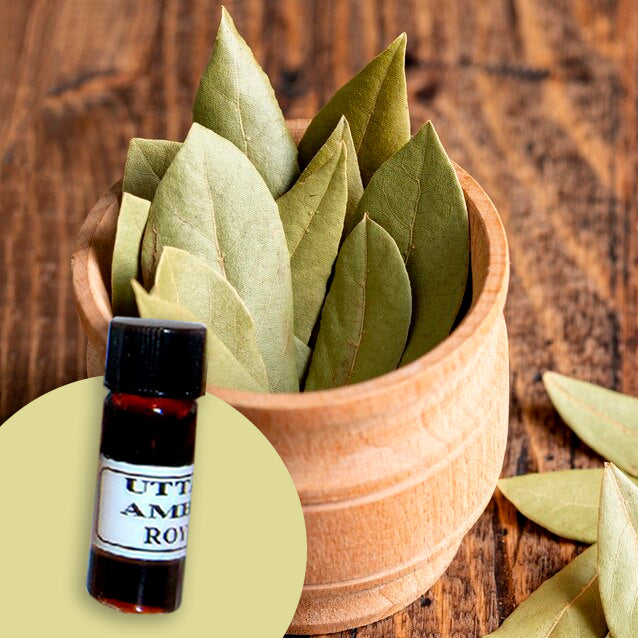 Bay Leaf