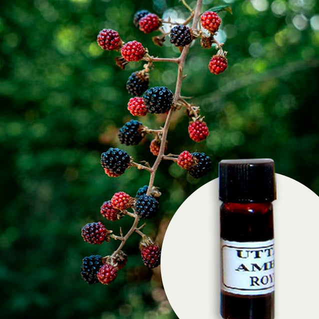 Black Berry