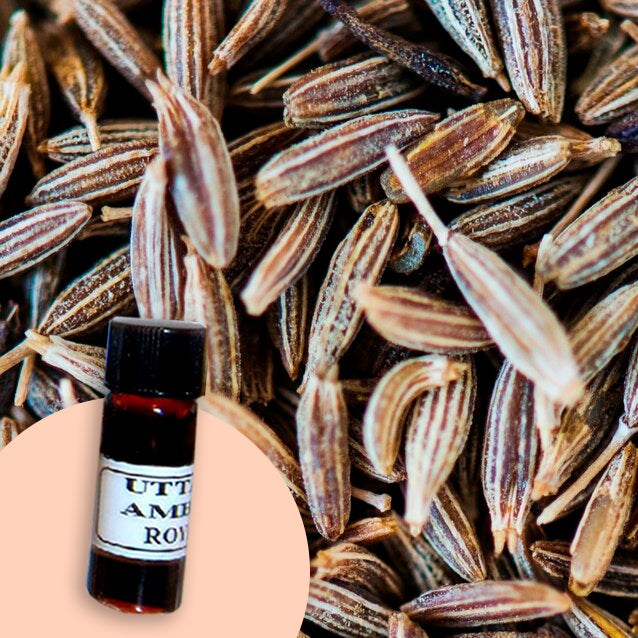 Caraway Seed