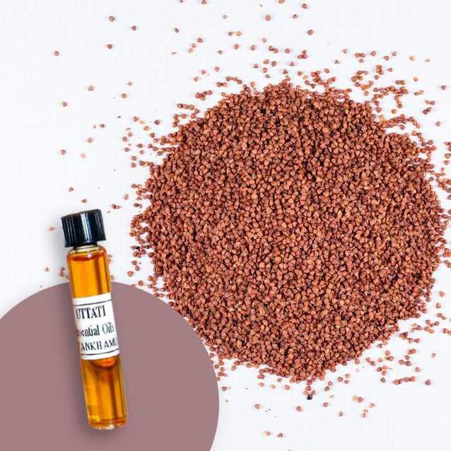 Carrot Seed