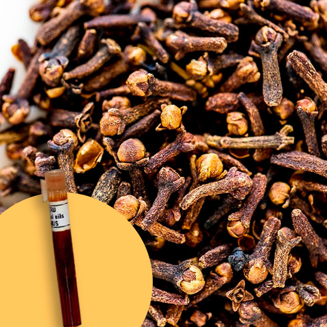 Clove Stem