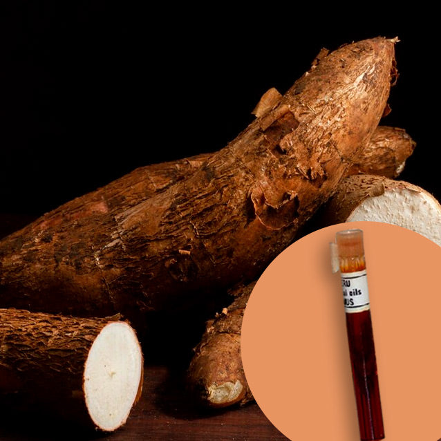 Costus Root