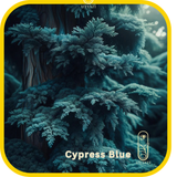 Cypress Blue