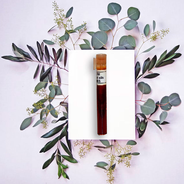Eucalyptus Smithii