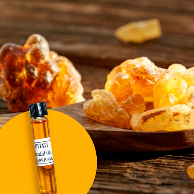 Frankincense Frereana