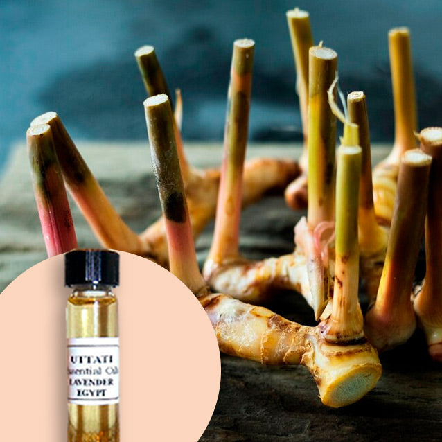 Galangal