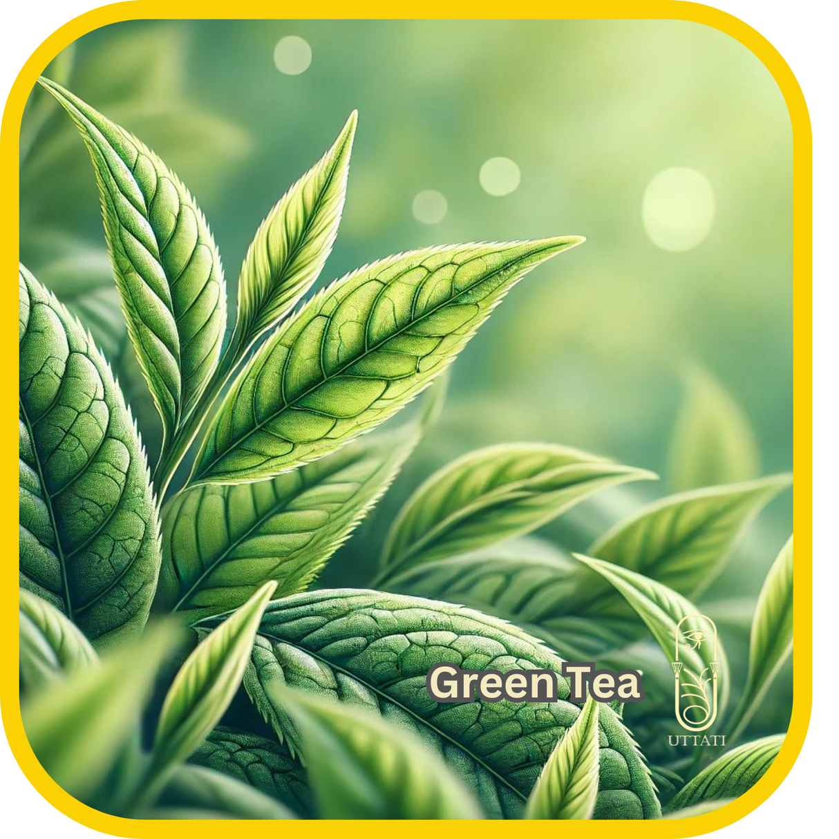 Green Tea