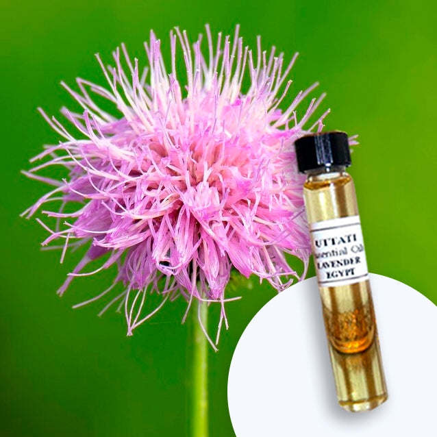 Kunzea
