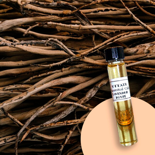 Lovage Root