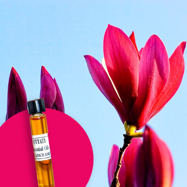 Magnolia Flower