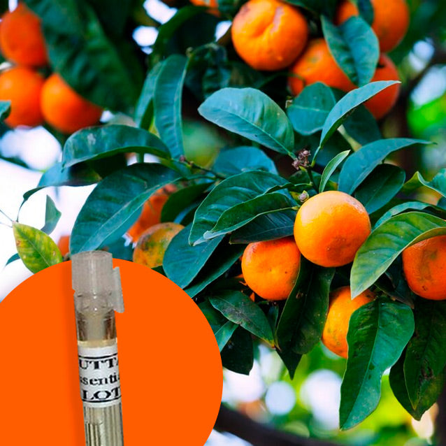 Mandarin
