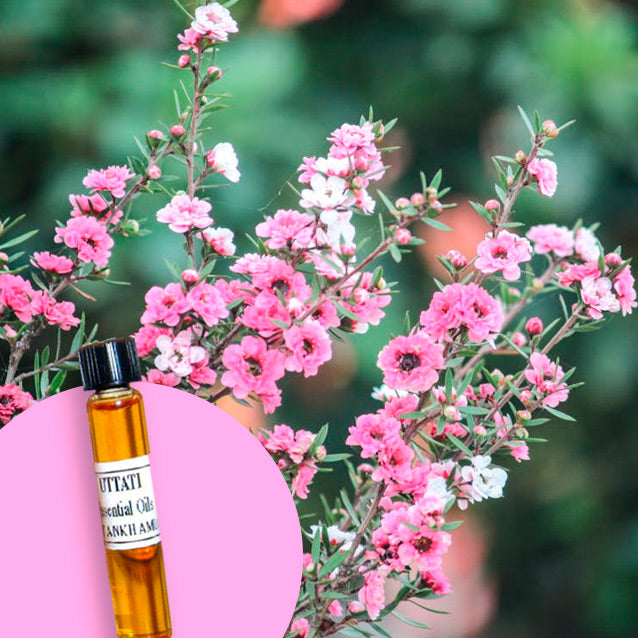 Manuka