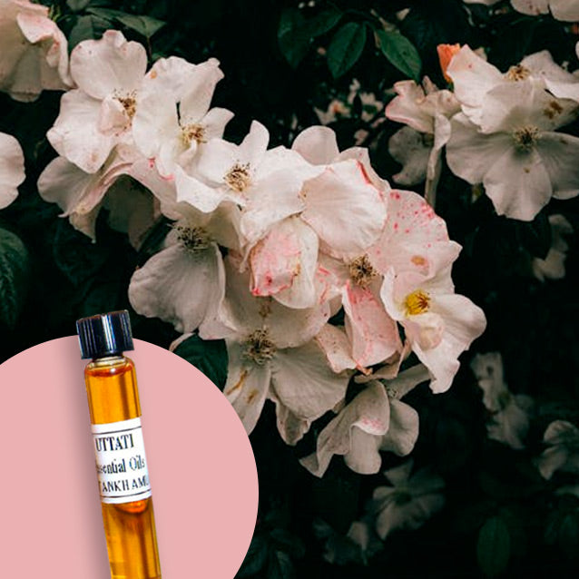Musk White(Herbal)