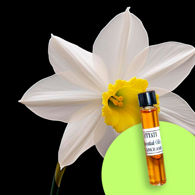 Narcissus Black