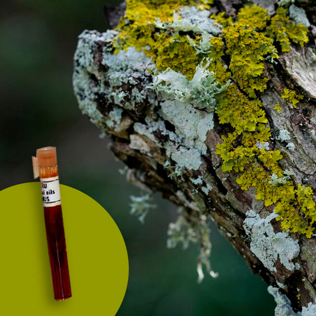 Oakmoss