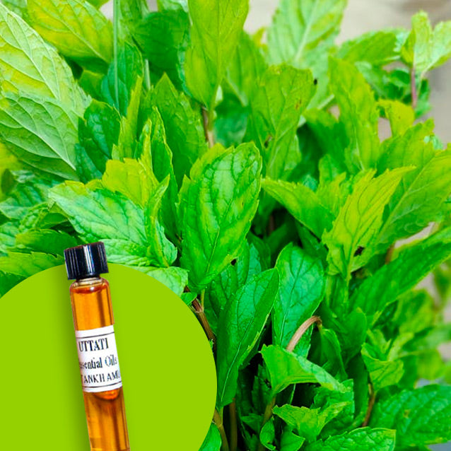 Spearmint