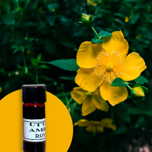 St. Johns Wort
