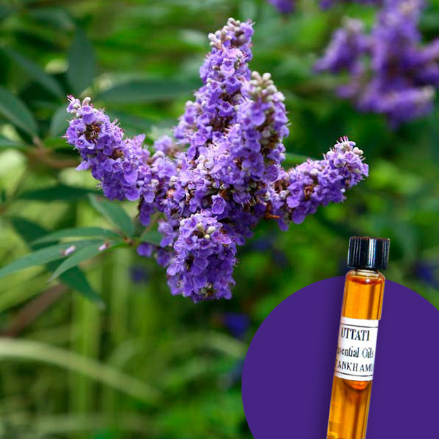 Vitex